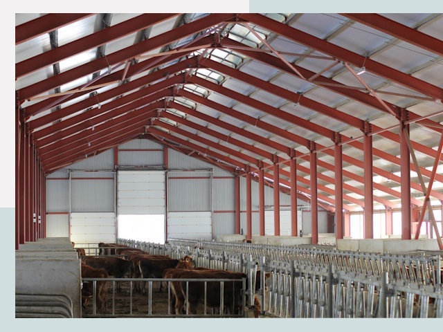 Строительство коровников в Фрязине