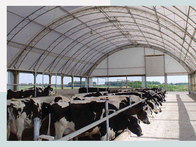 Тентовые коровники в Фрязине